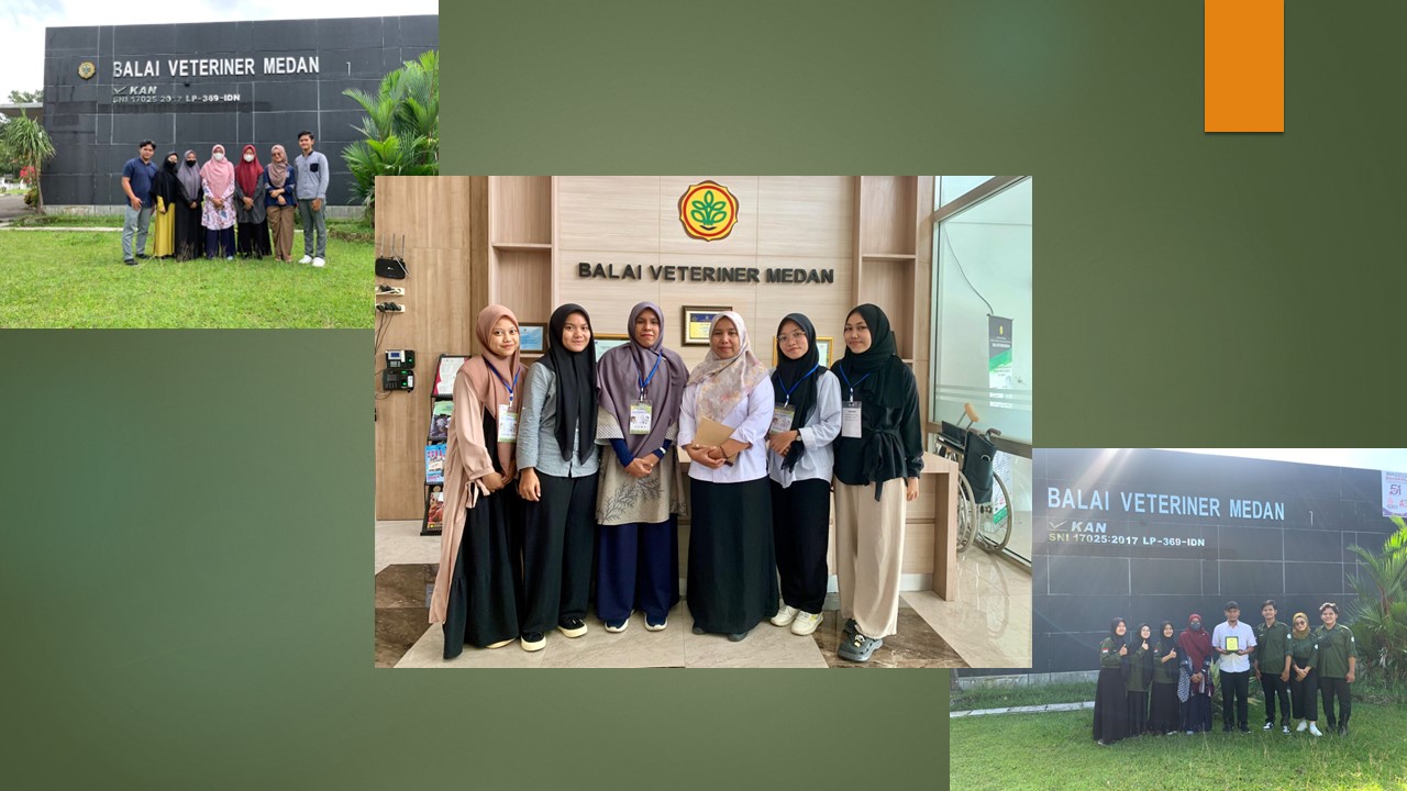 Kegiatan Kerja Praktek di Balai Veteriner Medan